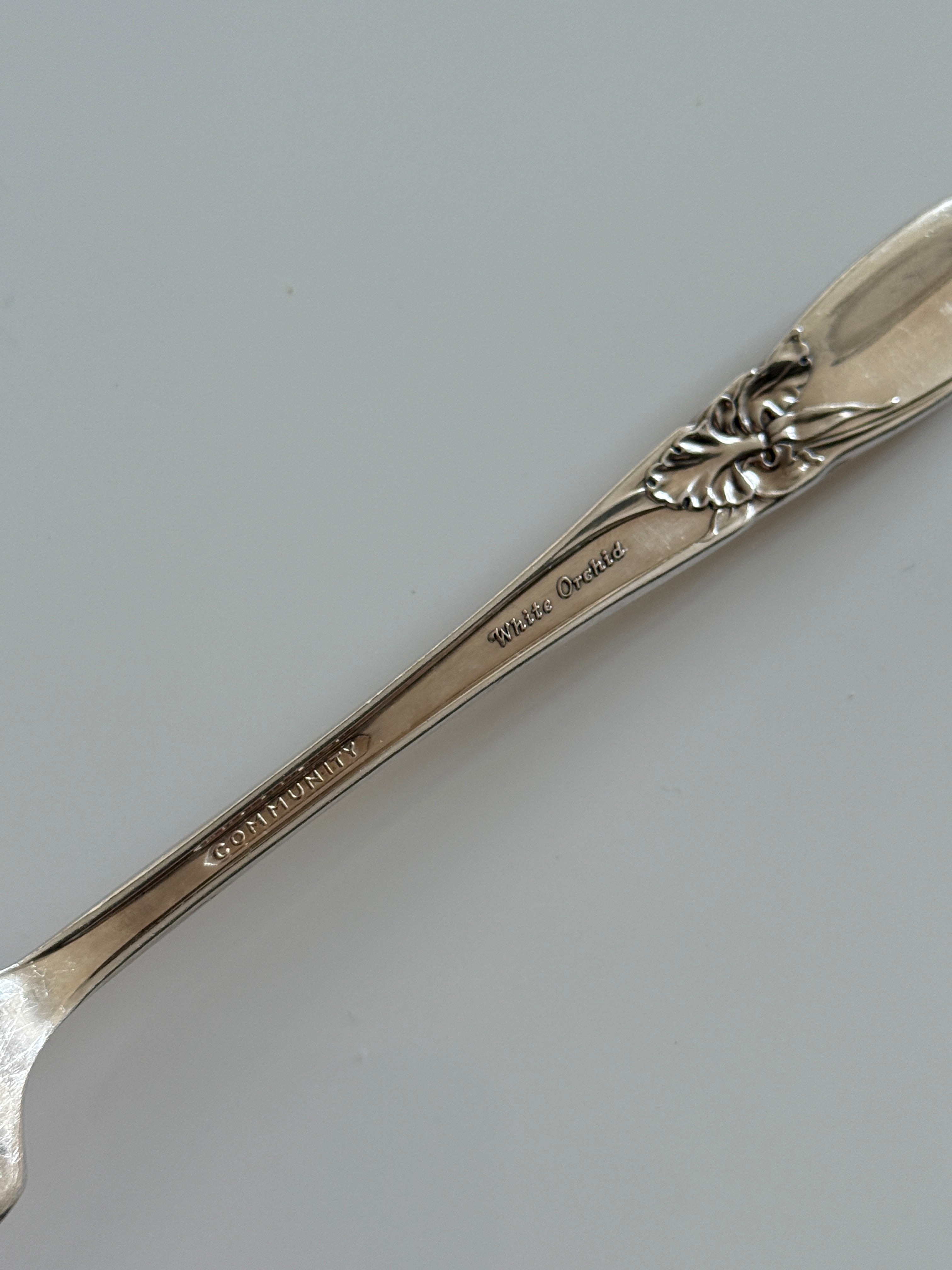 White Orchid Silver Plated Flateware set 1953 (10 pieces)
