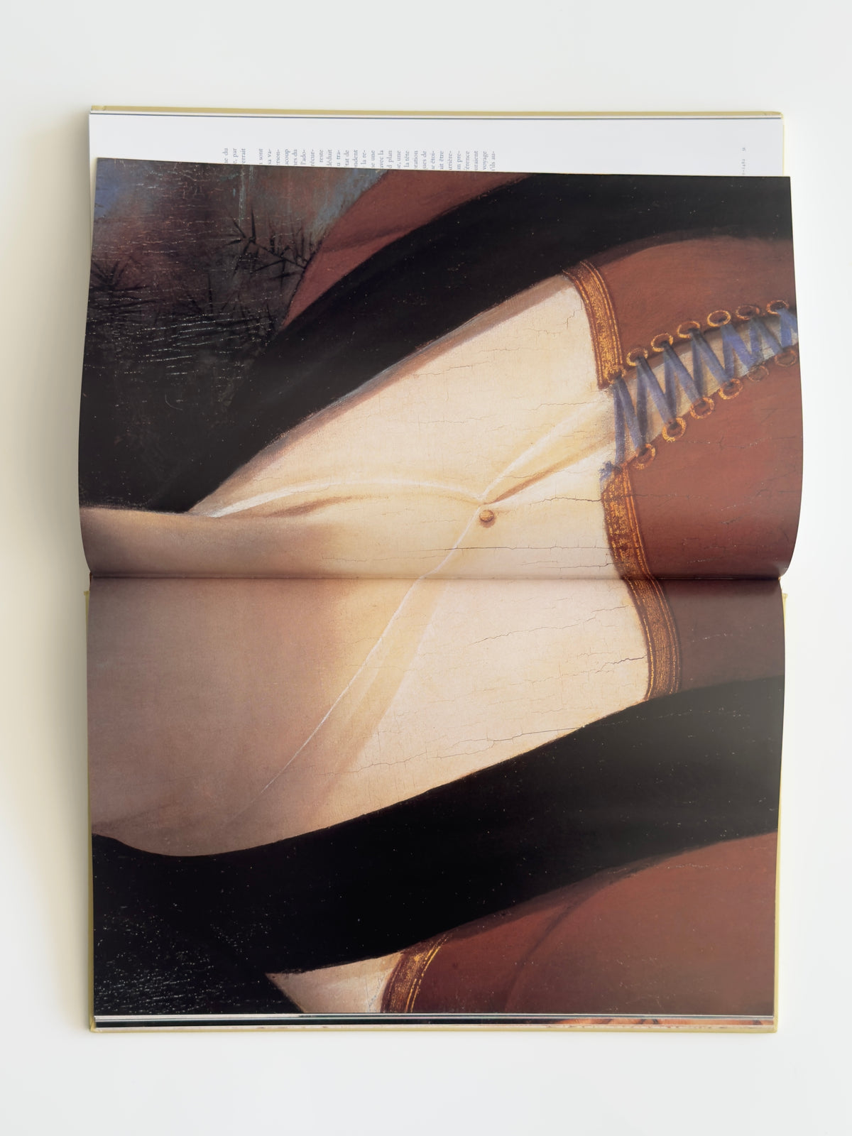 Léonard de Vinci — TASCHEN Art Book