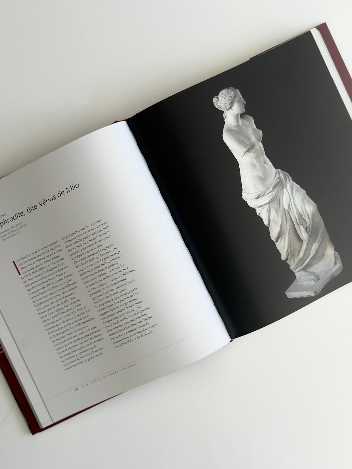 Les Chefs-d’œuvre du Musée du Louvre — Art Book