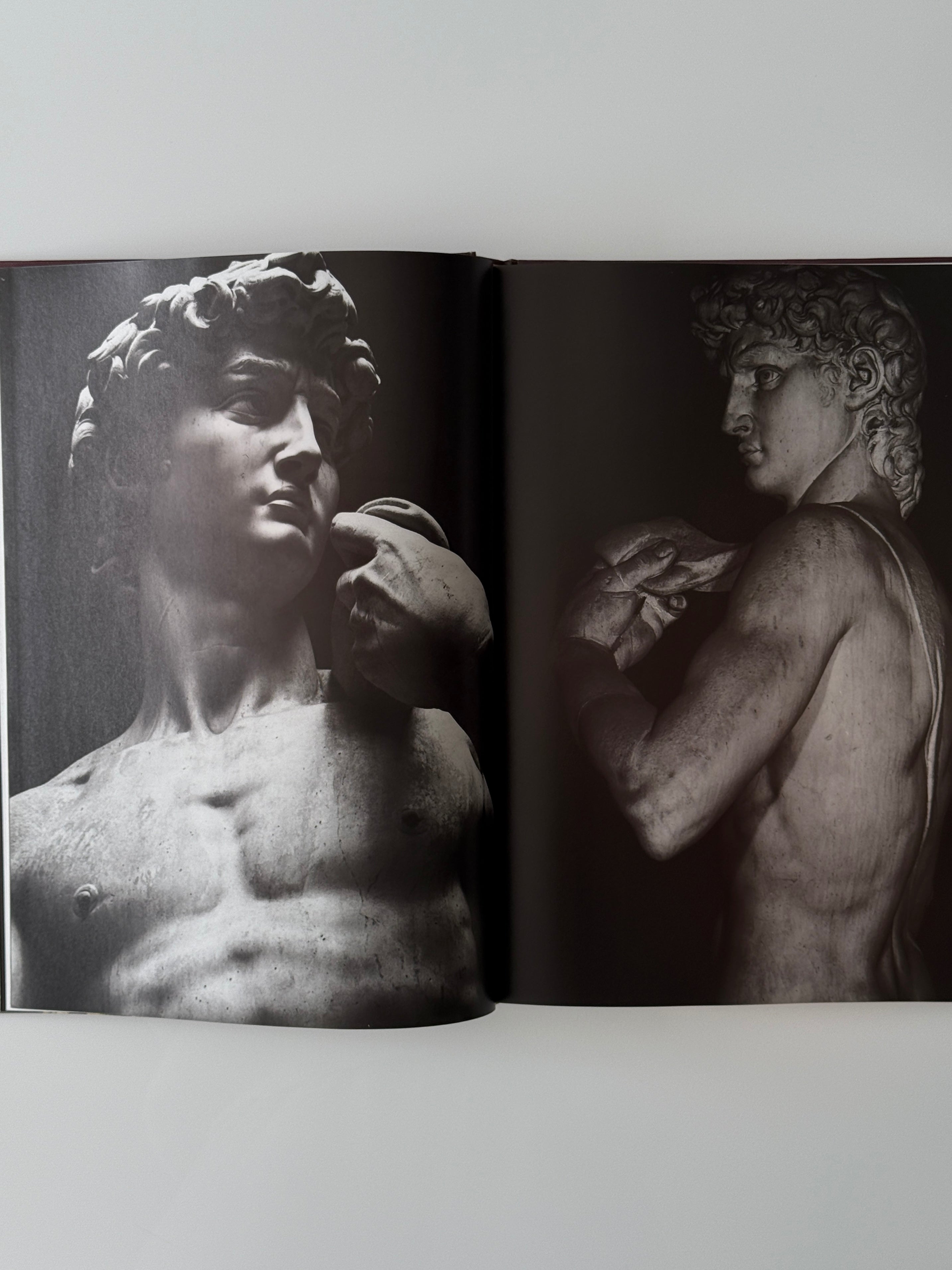 Michelangelo, The Complete Sculpture, Painting, Architecture Coffeetable Book, 1998