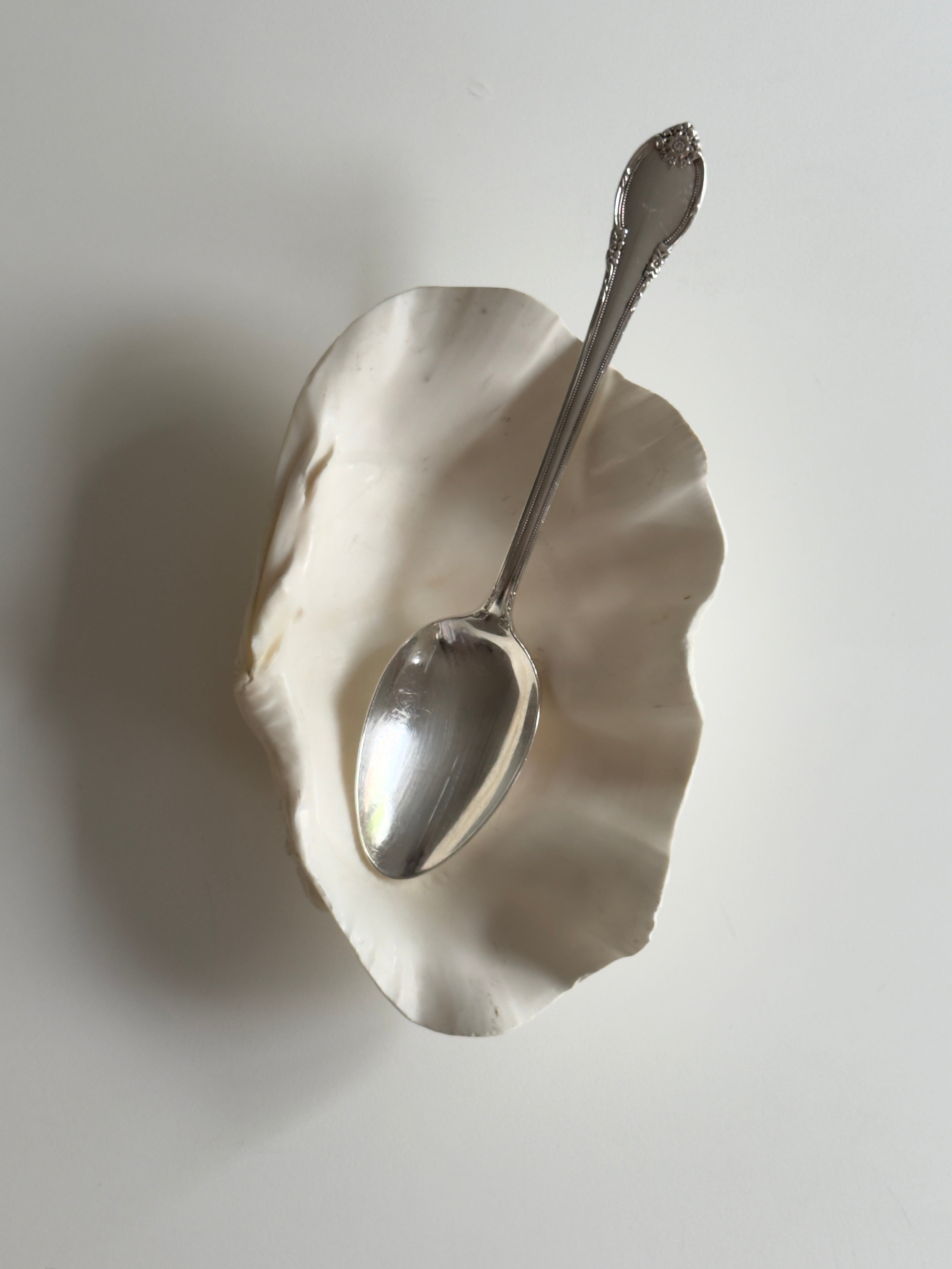 Natural Sculptural Shell