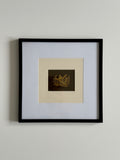 The Golden Quill — Framed Illustration, 1921