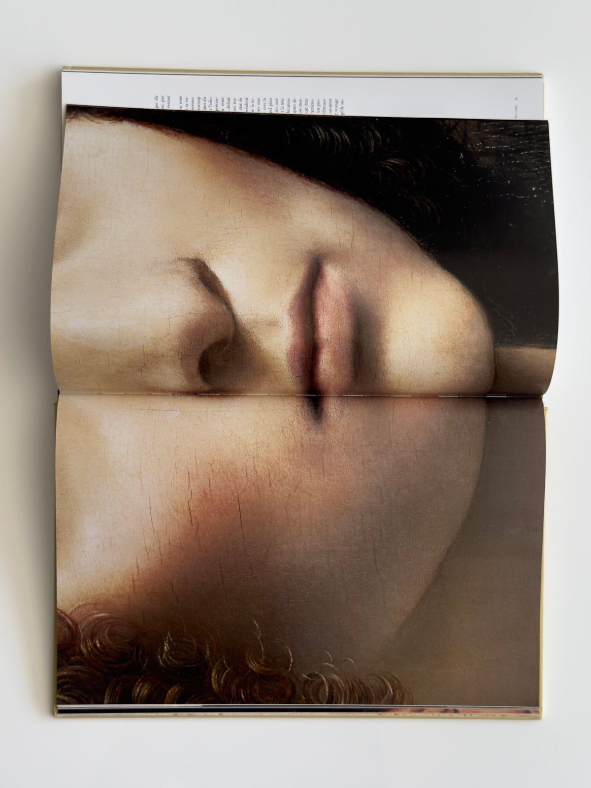 Léonard de Vinci — TASCHEN Art Book