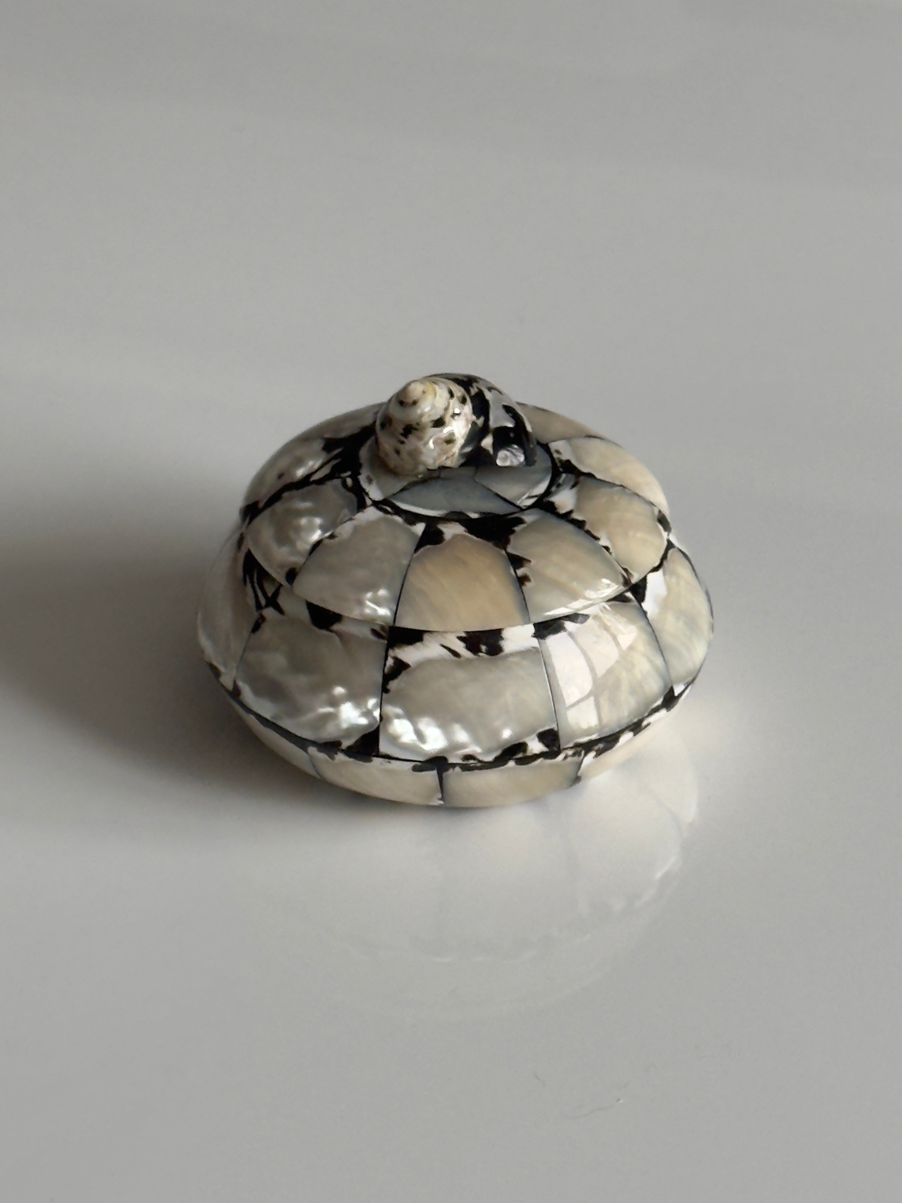 Mother-of-Pearl Seashell Jewelry Box