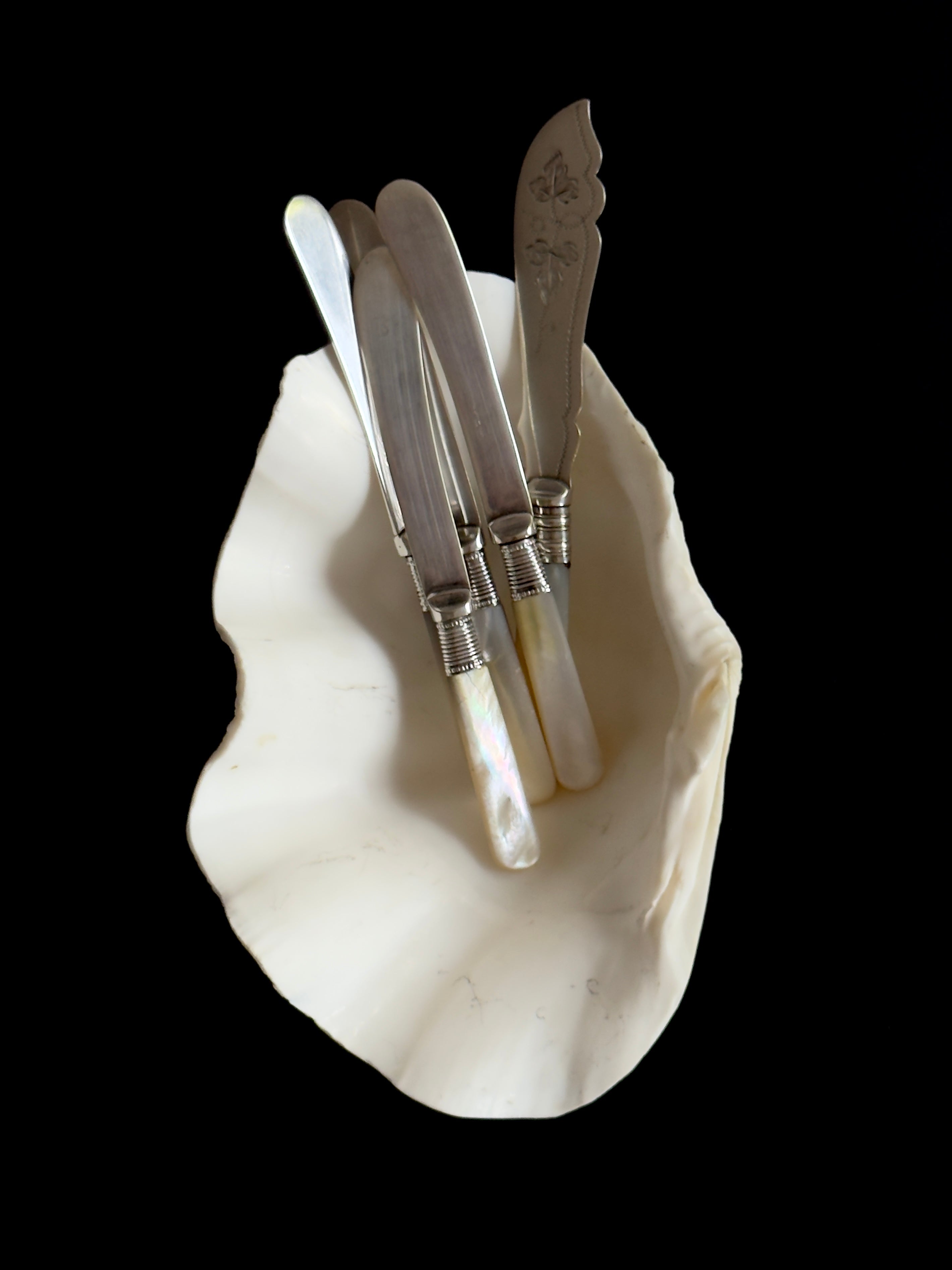 Natural Sculptural Shell