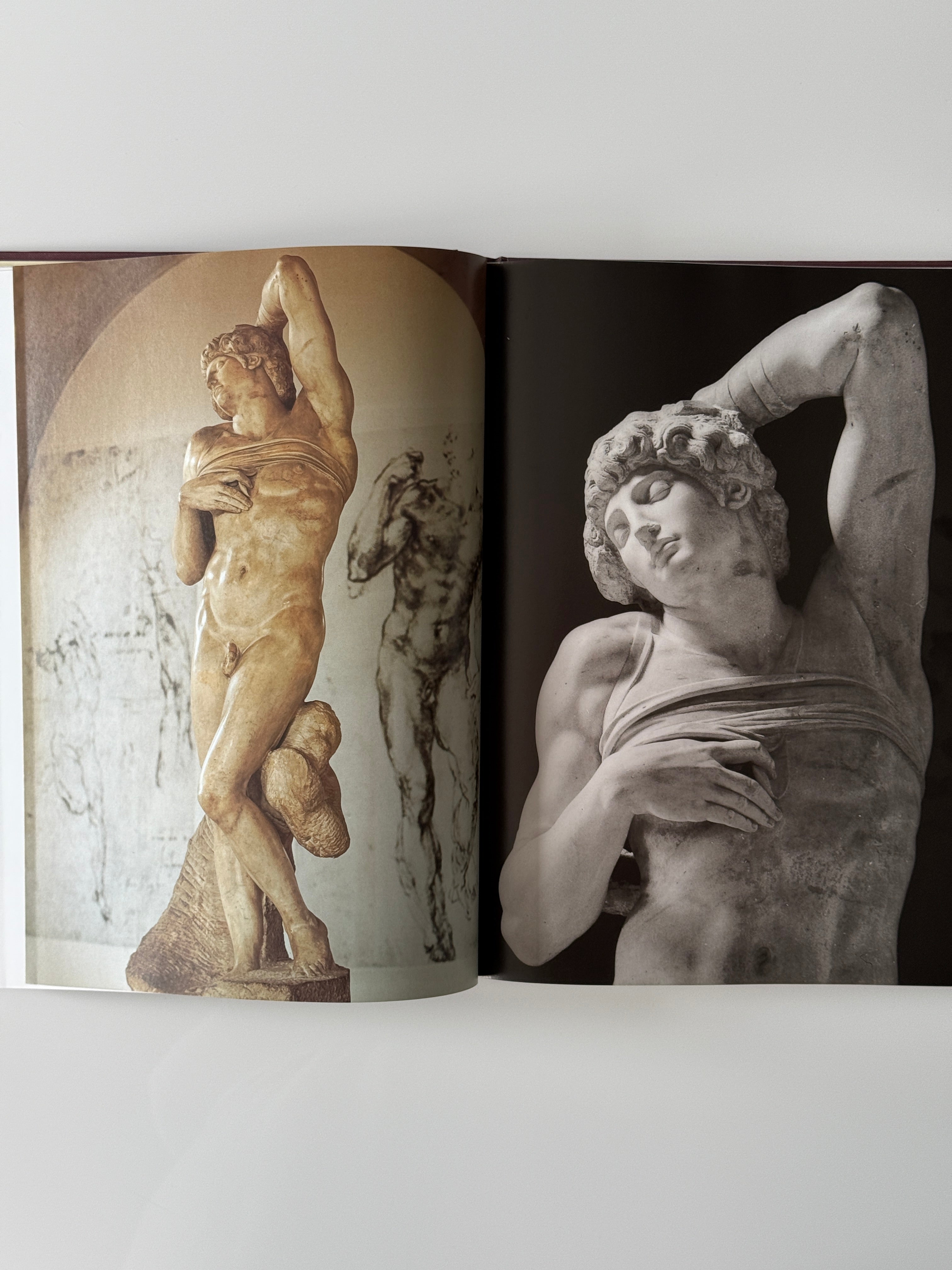 Michelangelo, The Complete Sculpture, Painting, Architecture Coffeetable Book, 1998