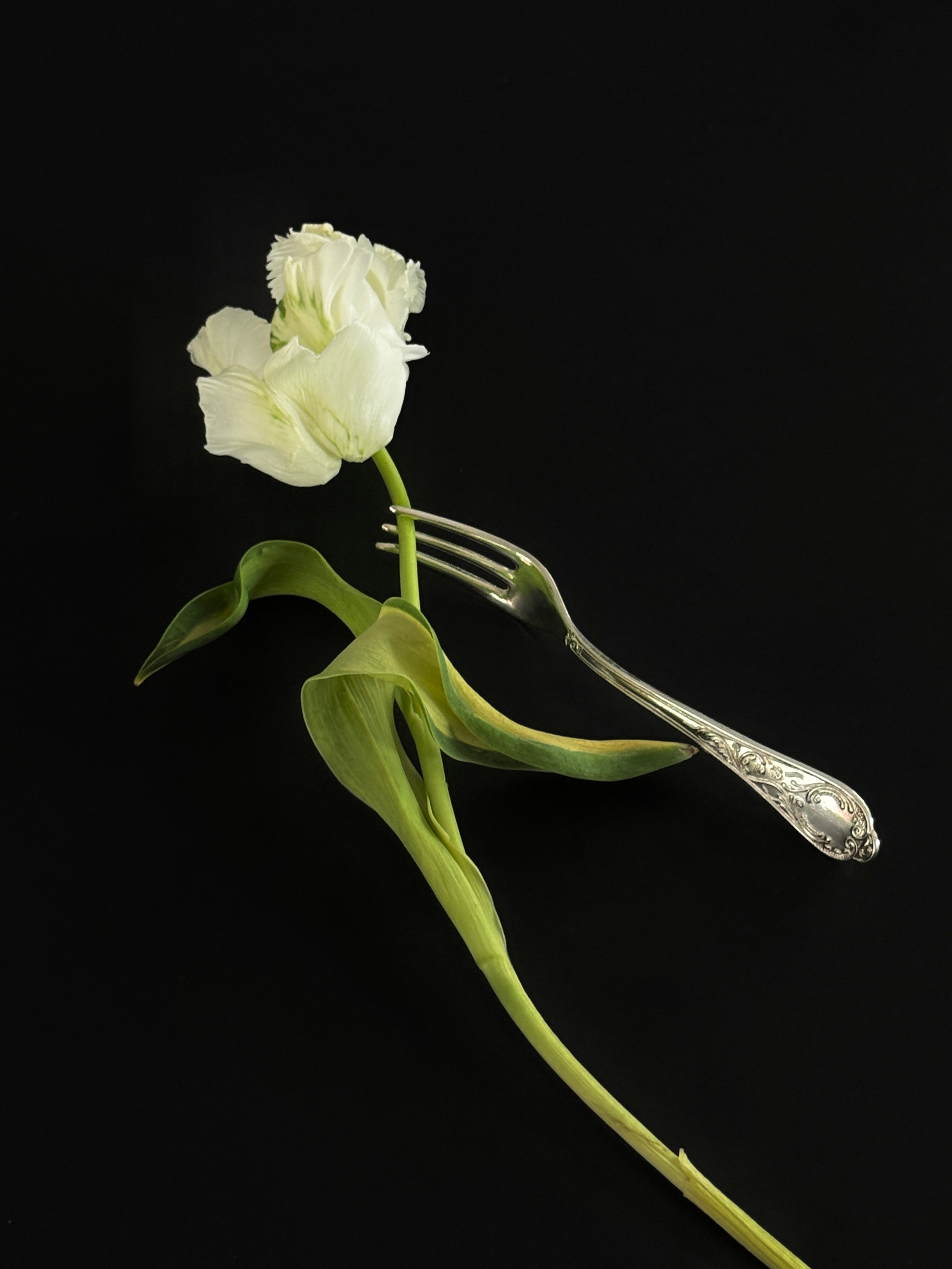 Italian Silver Plated Desert Forks (set of 6)