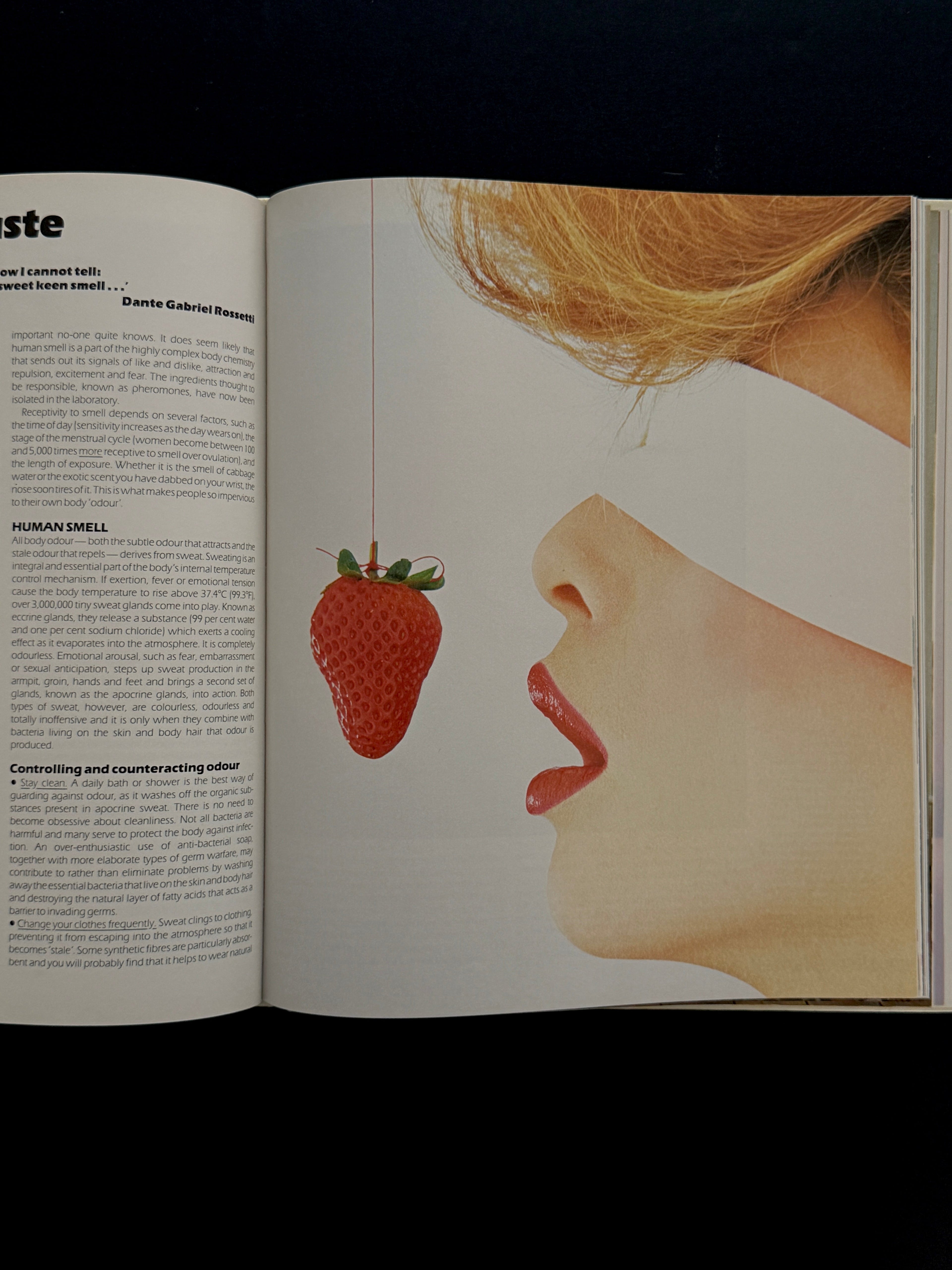 VOGUE Complete Beauty Book,  1982
