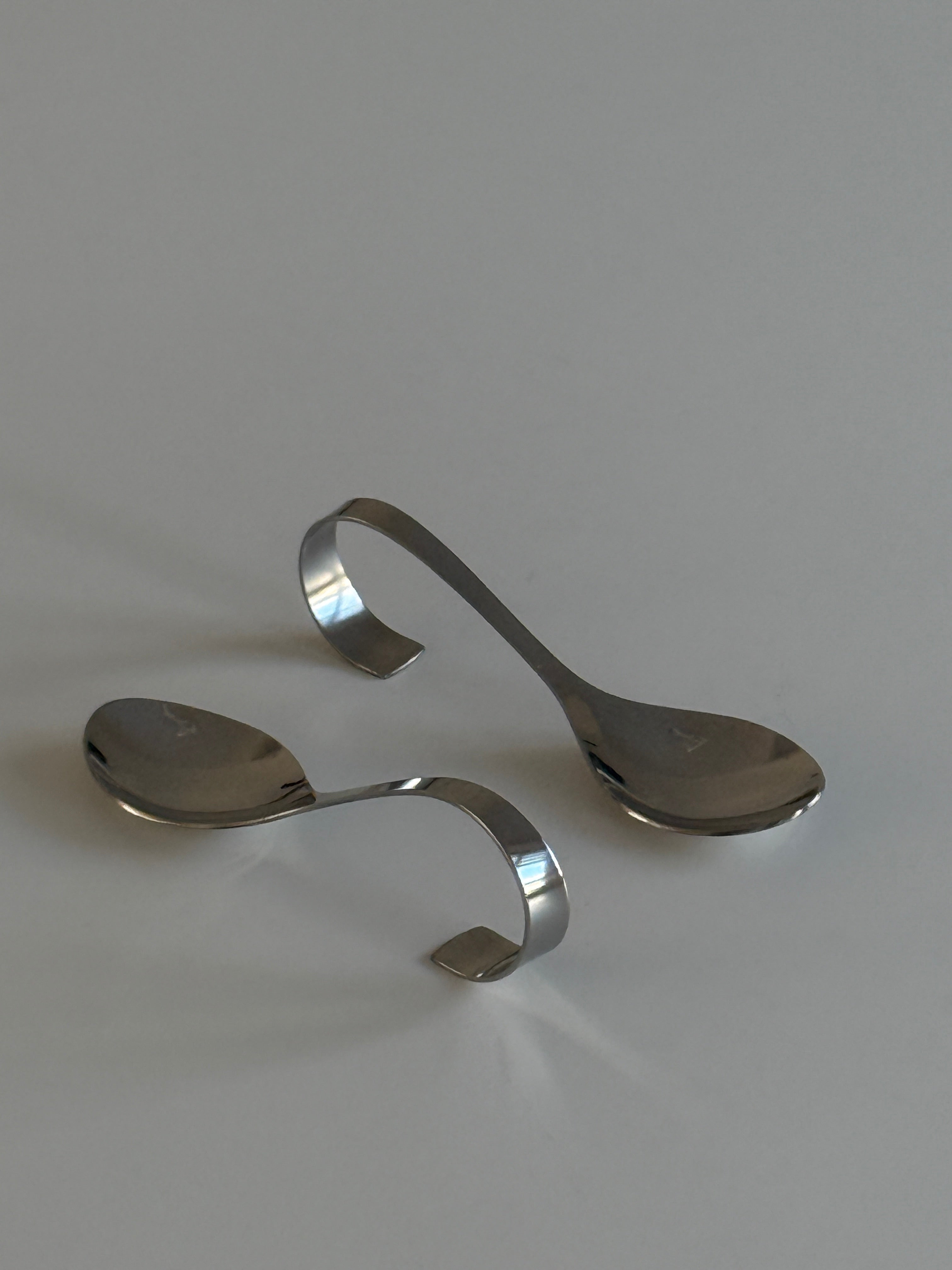 Stainless Steel Curvy Spoon (set of 5)