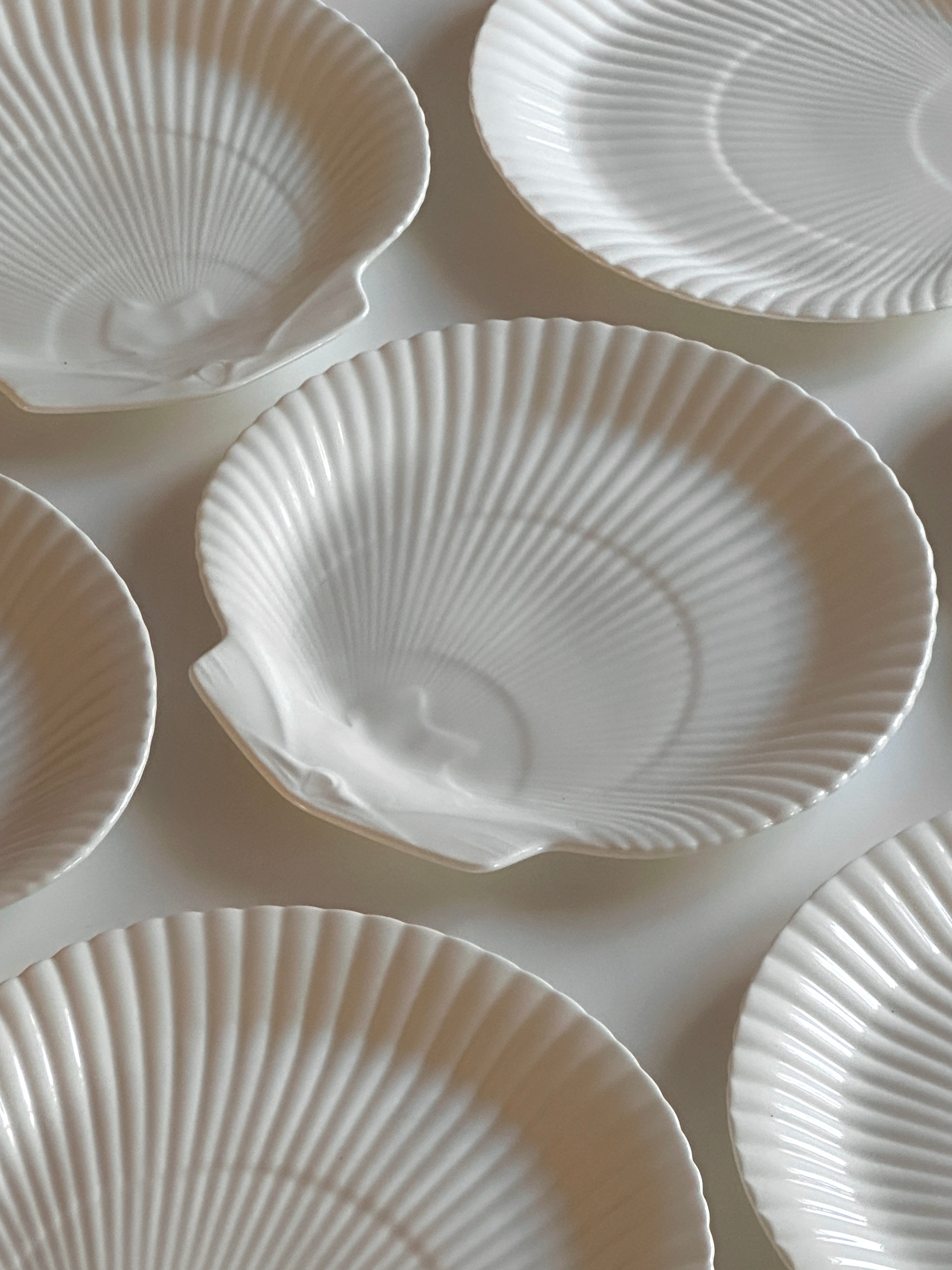 Wedgwood Nautilus Shell Plates - Made in England (set of 8)
